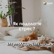 Coral travel, туристична агенція фото