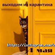 Сфера быта.тут, мастерская по установке кнопок, ремонту сумок и чемоданов фото