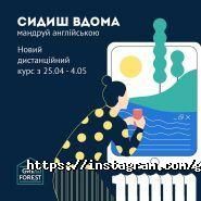 Green Forest, школа англійської мови фото