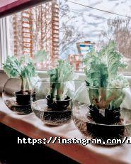 Level UP з Дашею Капітановою, салон краси фото