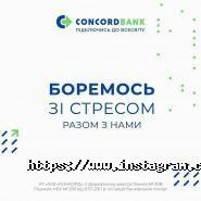 Акб конкорд фото