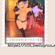 Smile-Show, шоу-балет фото