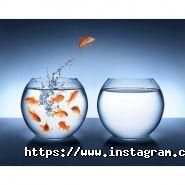 Міжнародний бізнес-клуб підприємців Конс на Біс фото