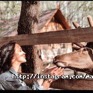 Mary Belle, кінні прогулянки фото