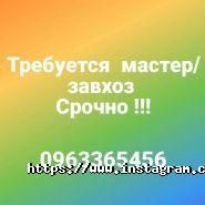 Ельдорадо, база відпочинку фото