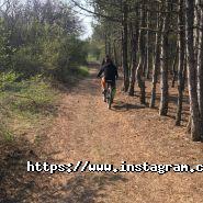 Board&Bike, магазин спортивного спорядження фото