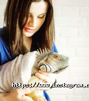 EcoCentr, клініка для гризунів і екзотичних тварин фото