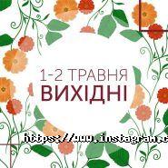 Study Academy, академія англійської мови фото