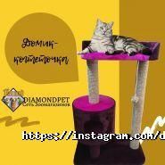 DiamondPet, магазин зоотоваров и аквариумов фото