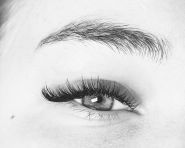 ВіЛес, навчальна студія фото