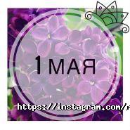 Ramyoga, студія йоги фото