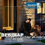 Goodwin, магазин дверей фото