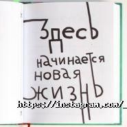 Food coach, центр організації здорового способу життя фото