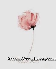 Студія Зої Соболєвої, салон краси фото