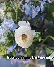 Kvitochka, доставка букетів квітів фото