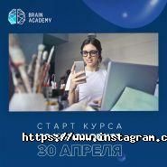 Brain Academy фото