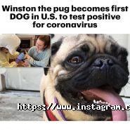 Mt, салон краси фото