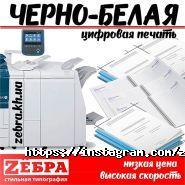 Zебра, друкарня фото