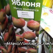САД И ОГОРОД фото