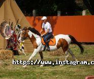 Дывосвет, детская летняя школа фото