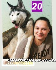 ЛеМуррр, зоомагазин, ветеринарний кабінет фото