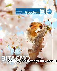 Goodwin, магазин дверей фото