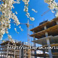 Avalon Inc., провідна інвестиційно-девелоперська компанія фото