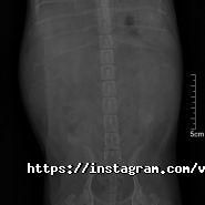 Оберіг, ветеринарна клініка фото