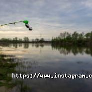 Олеандр, фото-відео майстерня фото