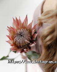 Artview, студия красоты фото