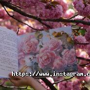 Большой БУК, магазин детских книг и игрушек фото