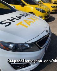 Shark taxi, мобільний додаток фото