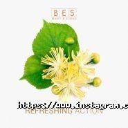 Бес Профешнл-Україна, академія стилю фото