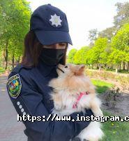 НДІ дитячої та сімейної психіатрії фото