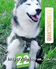 ЛеМуррр, зоомагазин, ветеринарний кабінет фото