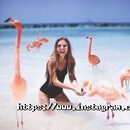 23 travel, туристичне агентство фото
