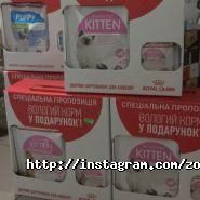 ЛеМуррр, зоомагазин, ветеринарний кабінет фото