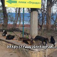 Екватор, кафе-бар фото