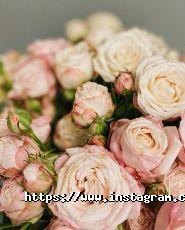 Квітковий дім, магазин квітів фото