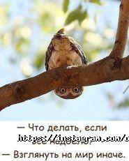 Оптика на Пушкіна фото