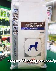 PetStore, зоомагазин фото
