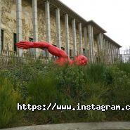 Метеор, басейн фото