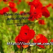 Lana Travel, туристична компанія фото