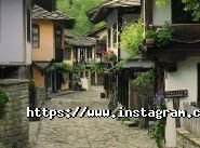 Damax Travel, туристична компанія фото