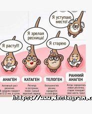 Авторська школа-студія Оксани Новіцької фото