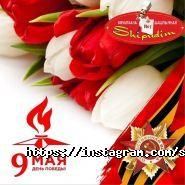 Shipudim, сеть шашлычных фото