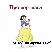 Darmed, центр гинекологии  фото