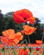 Душа і тіло, магазин природного косметики фото