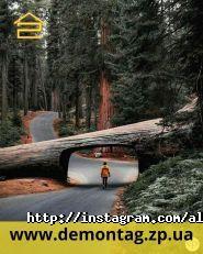 Демонтажная компания №1, услуги демонтажа фото