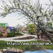 Ельдорадо, база відпочинку фото